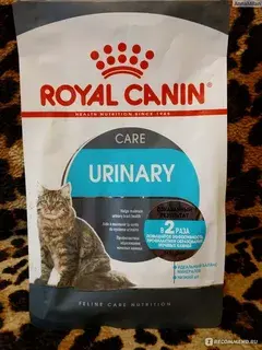 Лечебный корм для кошек после МКБ: что выбрать?