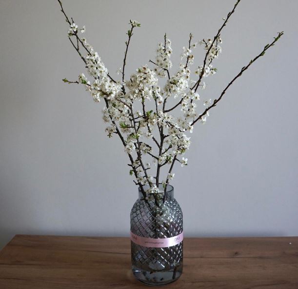 О старых советах замолвим мы слово