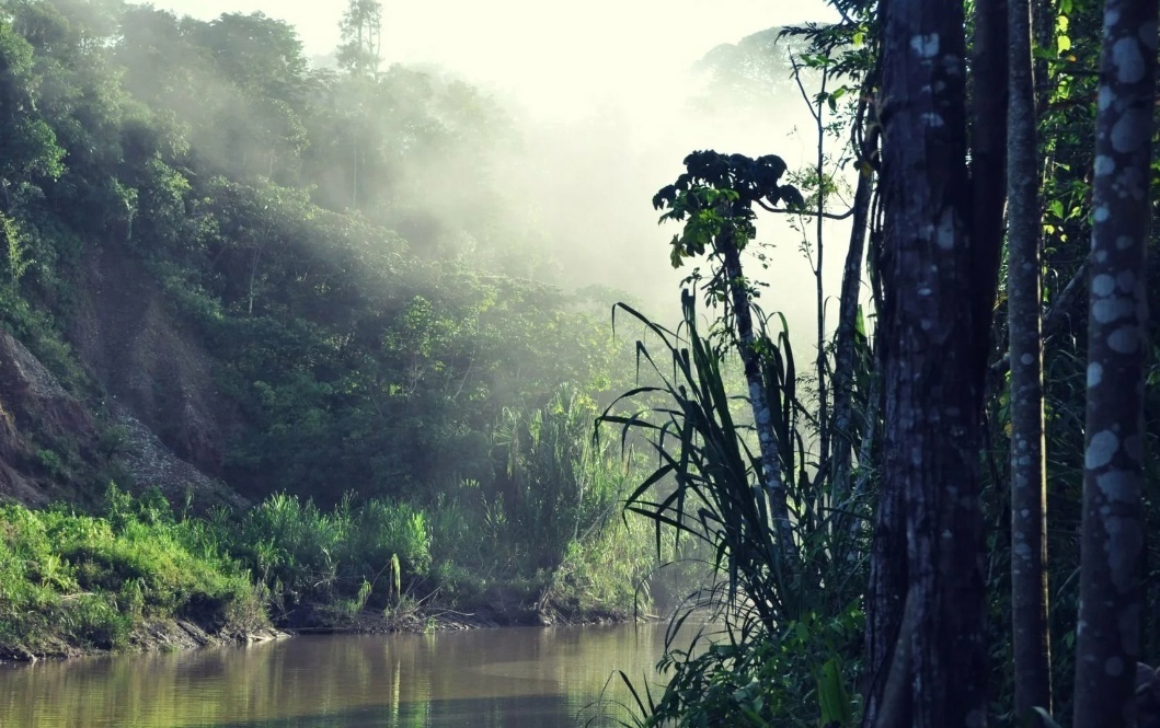 "Как я заблудился в джунглях Амазонки и нашёл то, что изменило мою жизнь навсегда"