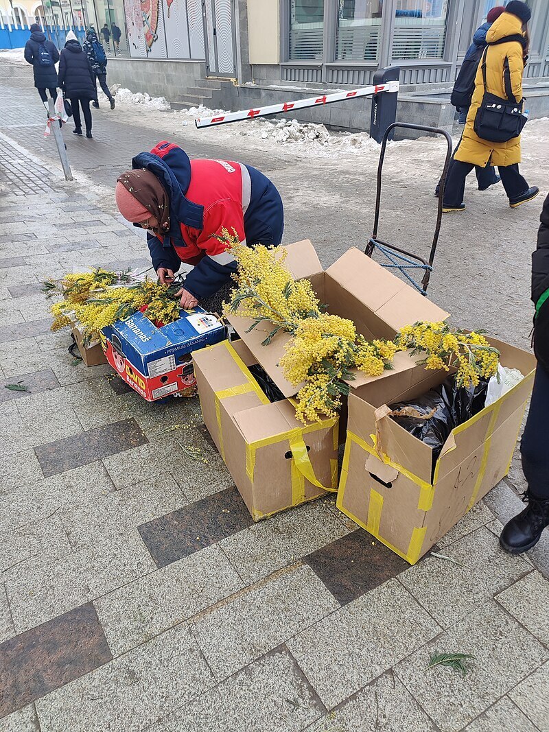 Я не люблю дарить девушкам цветы на 8 марта. Лучше куплю и подарю шоколад на большую сумму, нежели цветы эти.