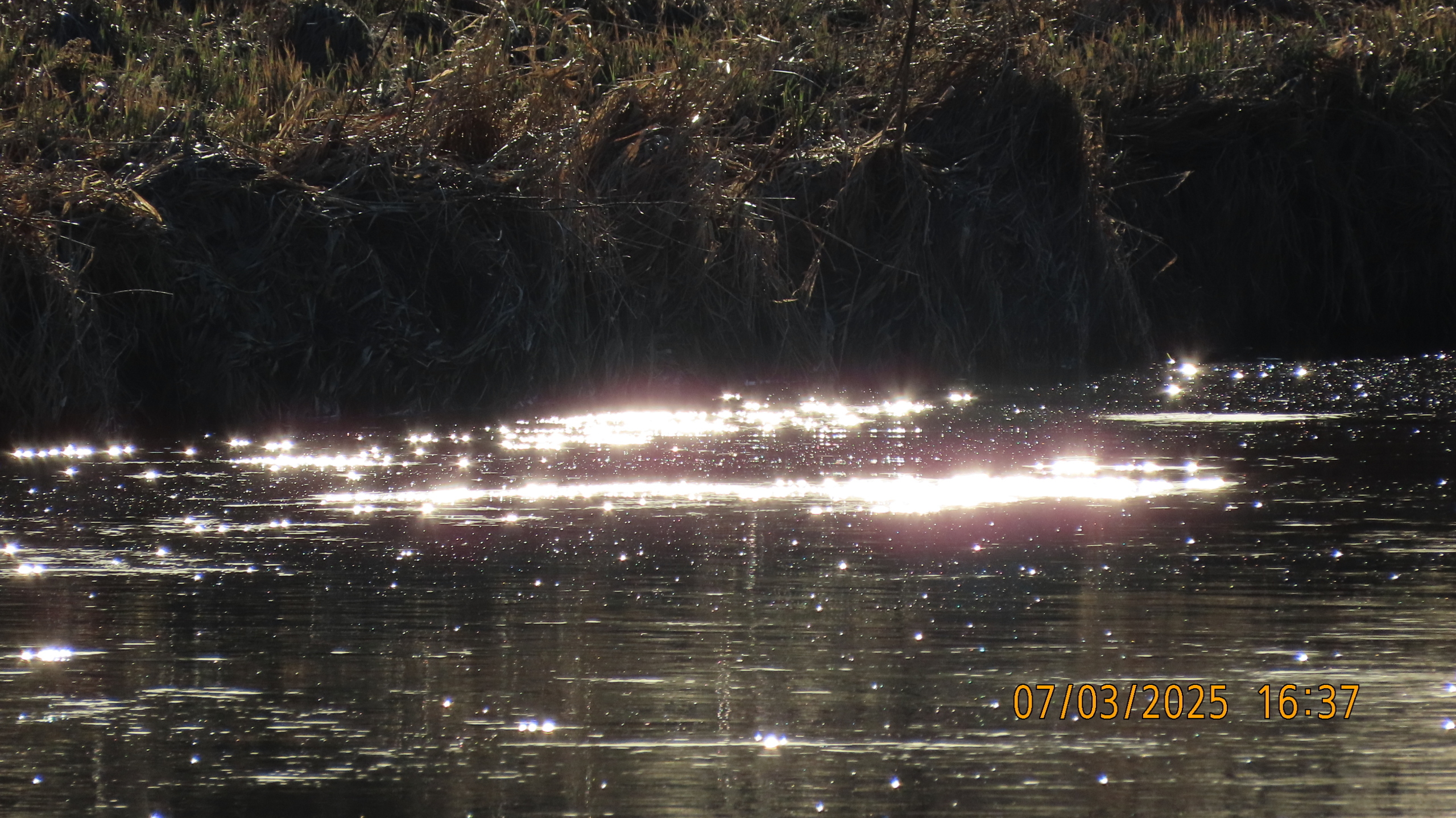 Проказник Март.