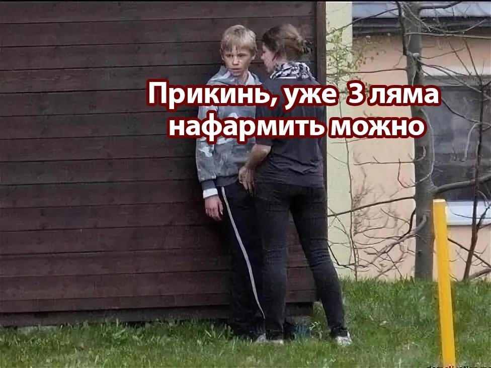 Тульская область: где миллионы растут на деревьях