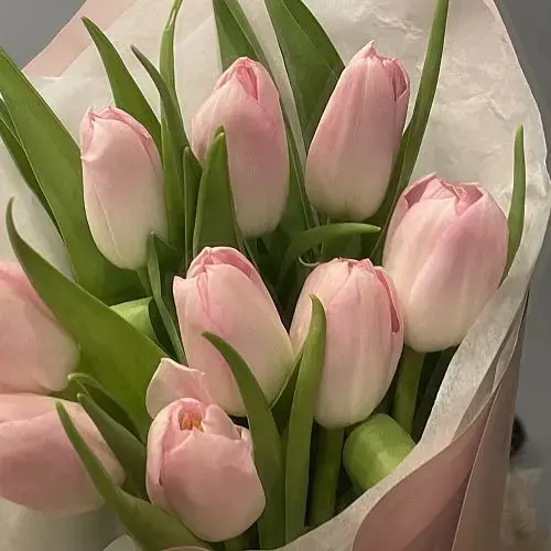 Цены на цветы упали после 8 марта