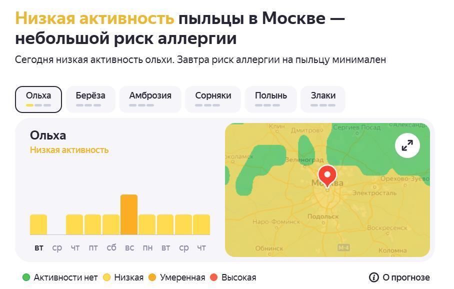 Аллергия на пыльцу в 2025 году. Как с ней бороться?