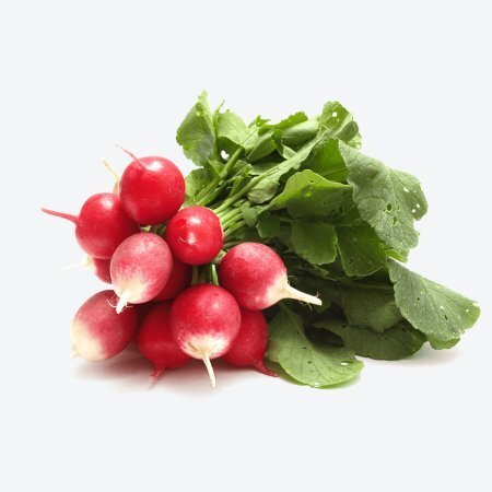 Как правильно сеять редиску: простые шаги к богатому урожаю.