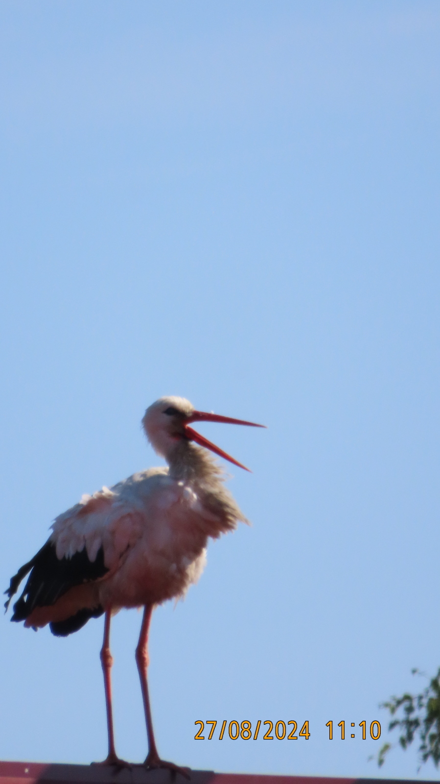 Непреложные законы природы.