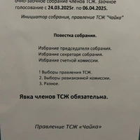 IMG_7344.jpeg