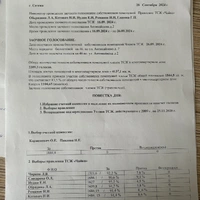 IMG_6700.jpeg