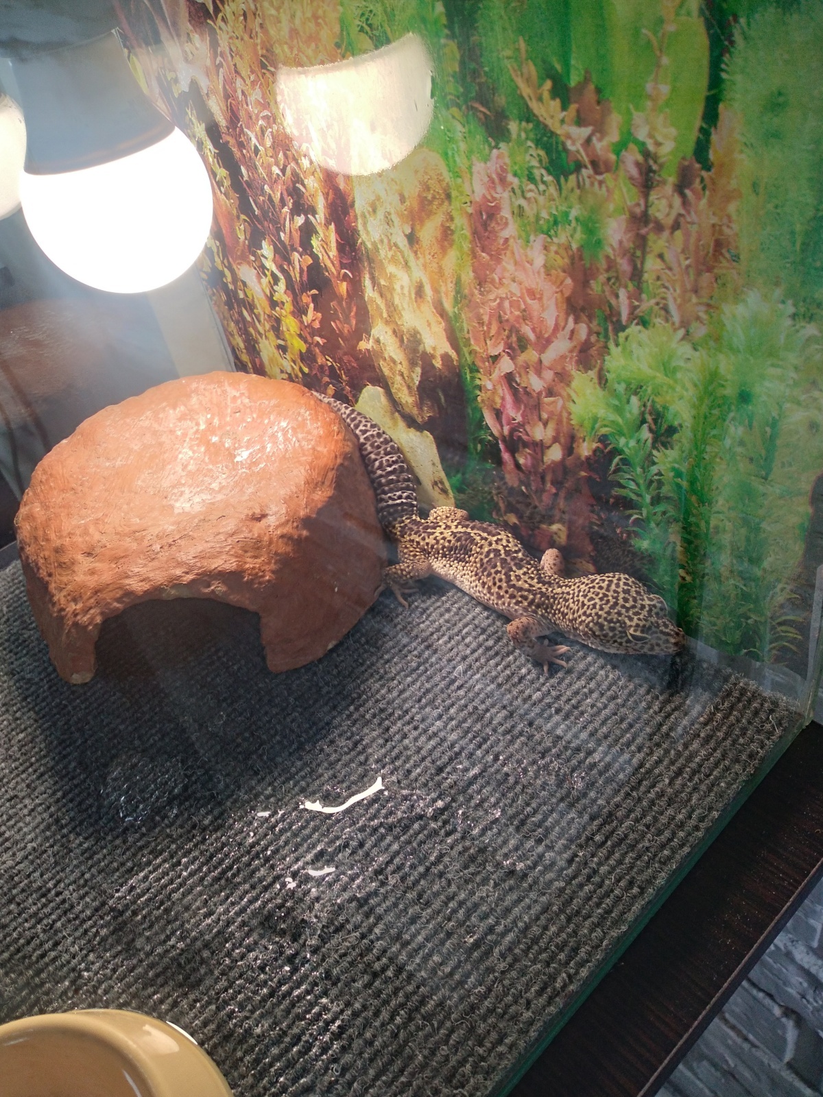 Контактный зоопарк зло или добро?