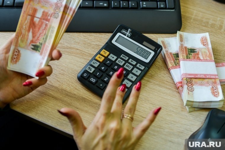 В Госдуме предложили платить зарплату домохозяйкам. Почему народ против?