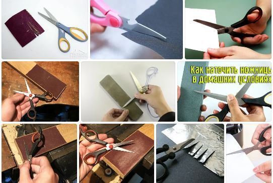 Хозяину на заметку