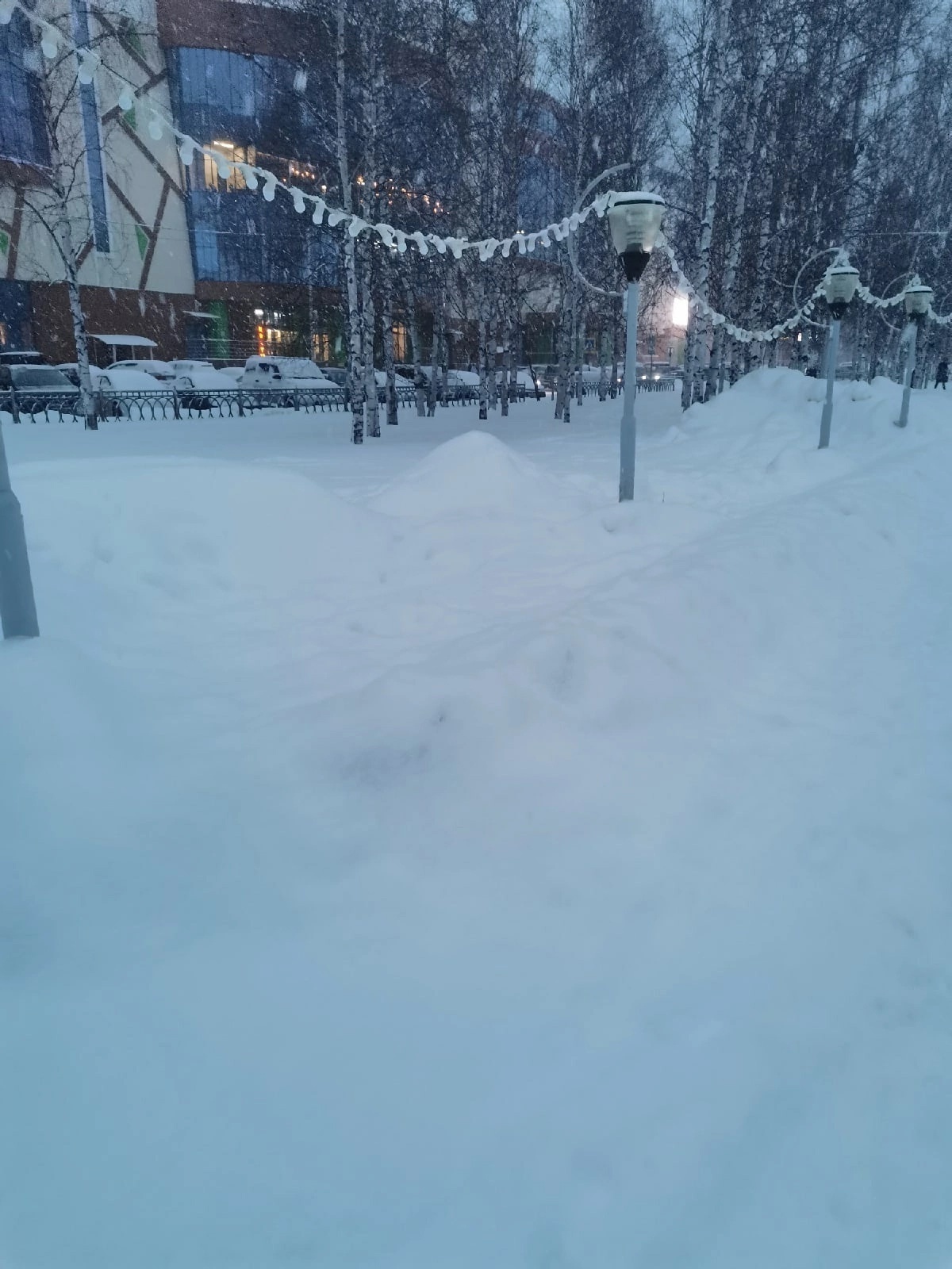 Наш переезд из Краснодара на север: сложное решение и жизнь с 0