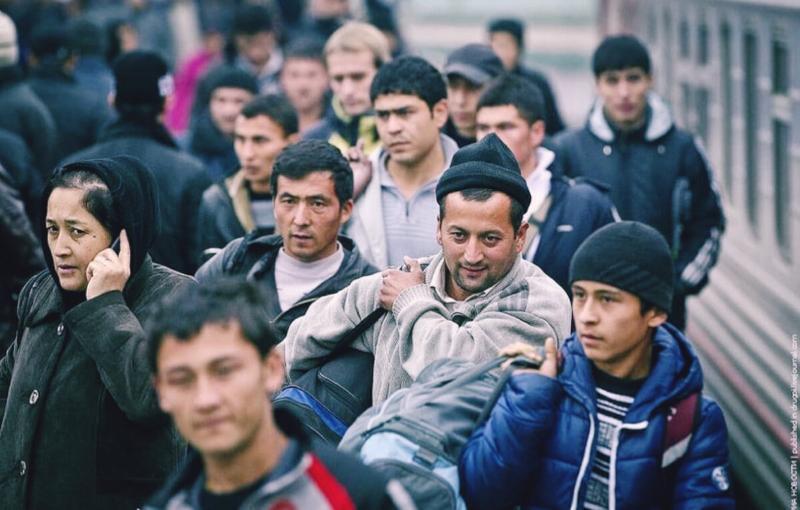 Мигранты отбирают наши рабочие места.Мифы и факты