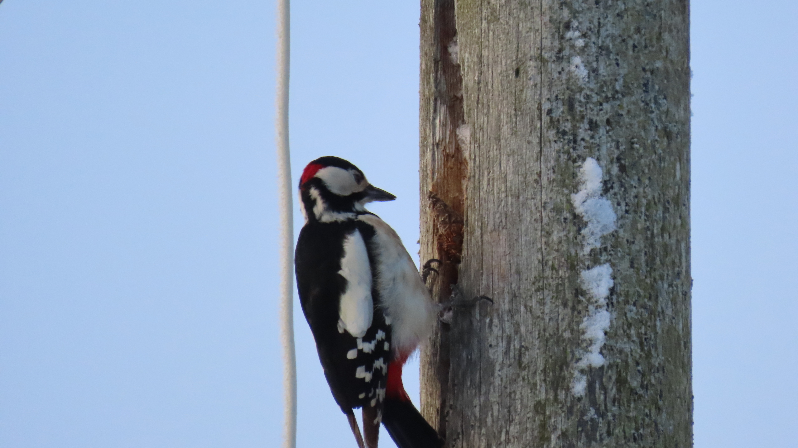 Одна бабушка сказала: "На чужой (на всякий) роток не накинешь платок". Или: Столкновение миров. /исповедь?/