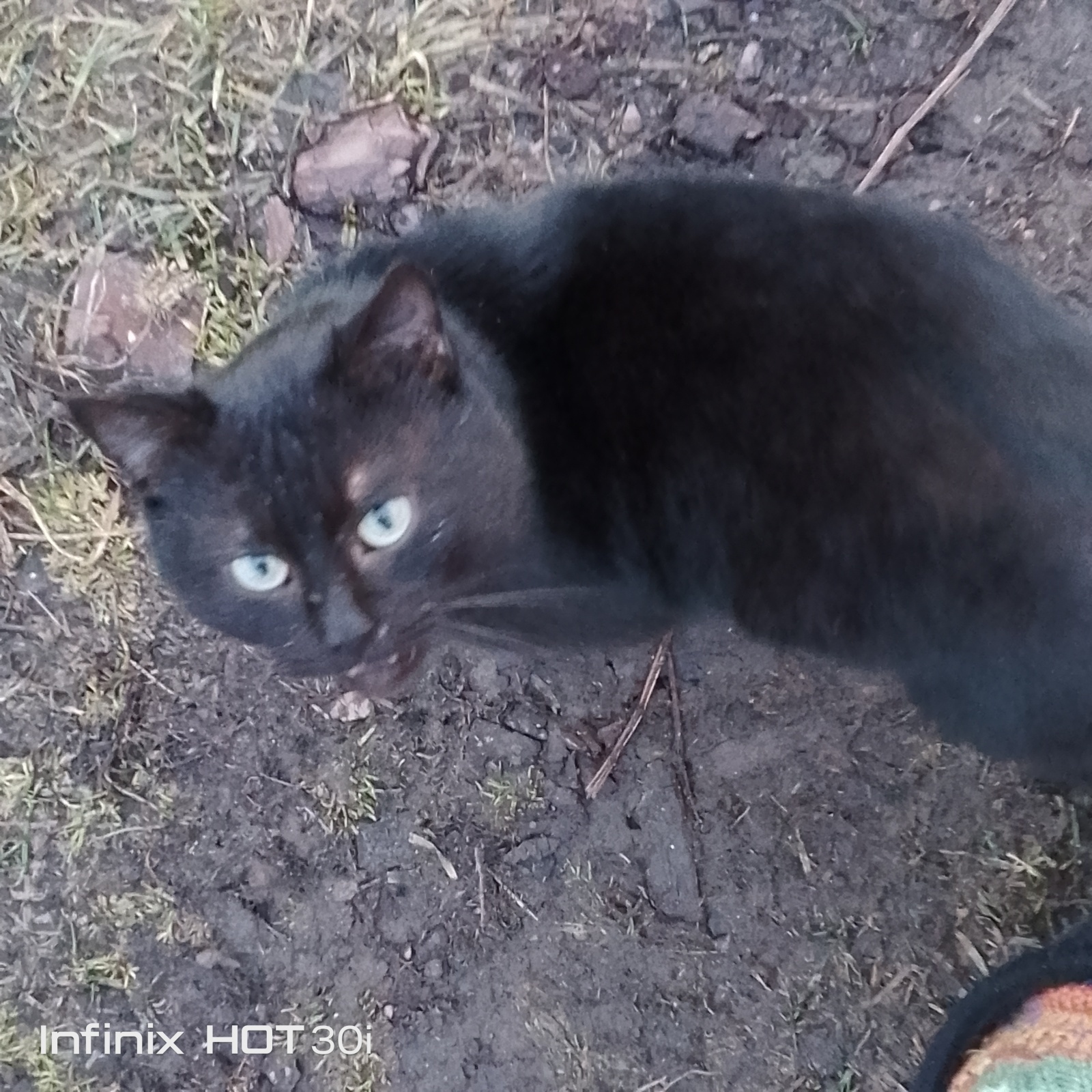 Наш маленький огородик у дома,середина марта