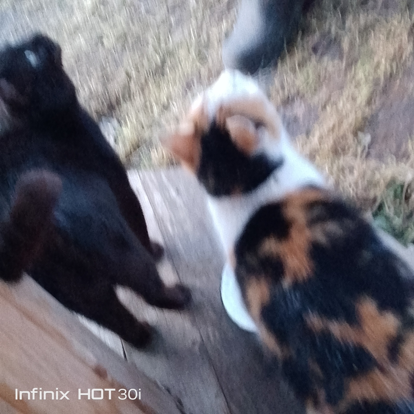 Наш маленький огородик у дома,середина марта