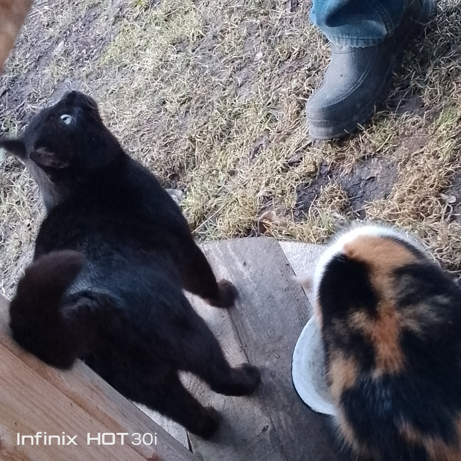 Наш маленький огородик у дома,середина марта