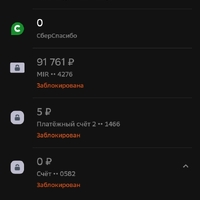 Screenshot_2025-03-12-23-42-56-957_ru.sberbankmobile.jpg