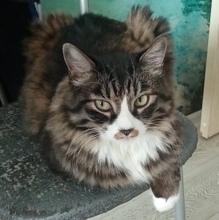 Надежда, г. Хабаровск