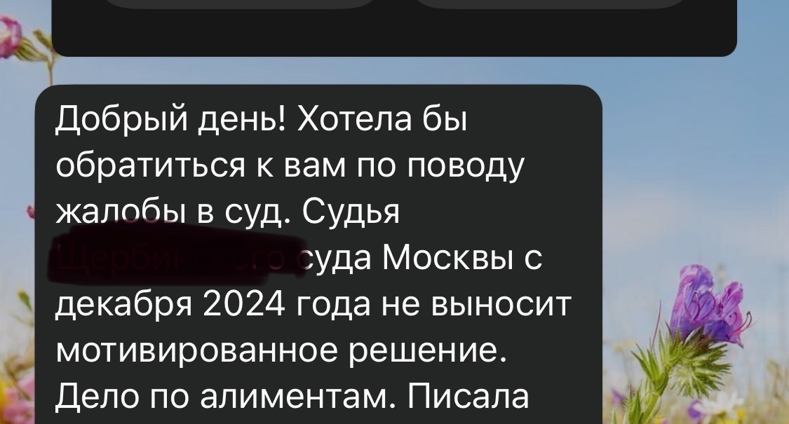 «Мне так юрист сказала»! Как на самом деле исполняется решение суда по алиментам