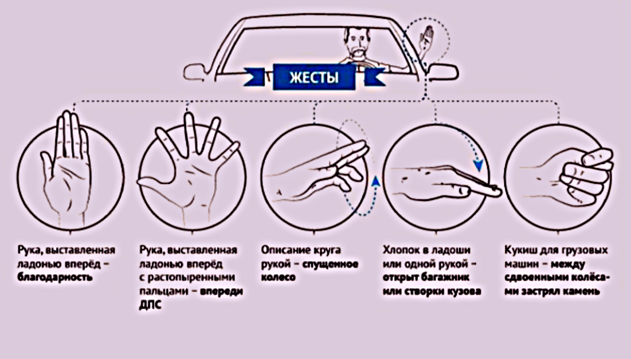 Общение без слов – неписаная азбука дорог