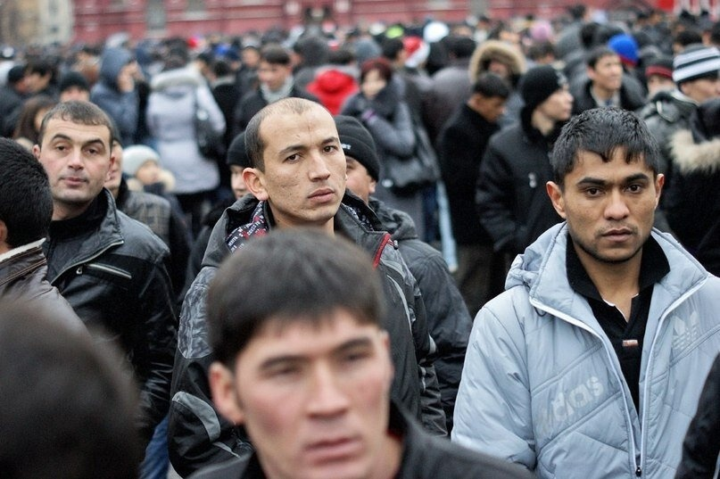 «Пока не поздно, надо бежать домой!»: диаспоры в панике - Россия решила бороться с мигрантами невиданным до этого способом