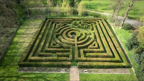 Земельный лабиринт: Как ошибка в кадастре едва не оставила семью без участка. История, которая заставит вас проверить свои границы