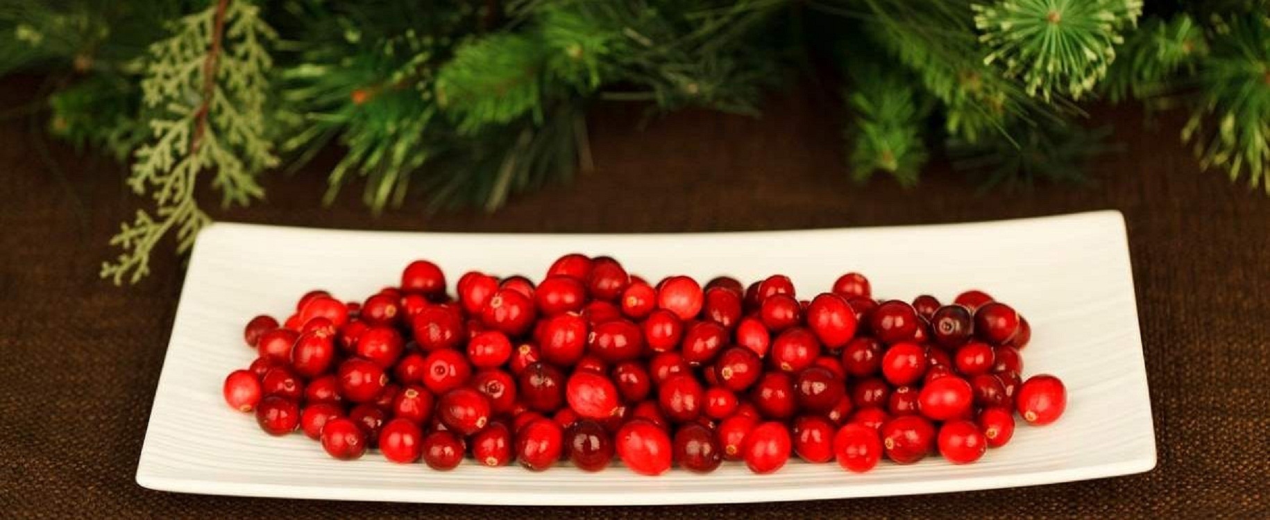 Болезни почек исцели - ка листьями брусники