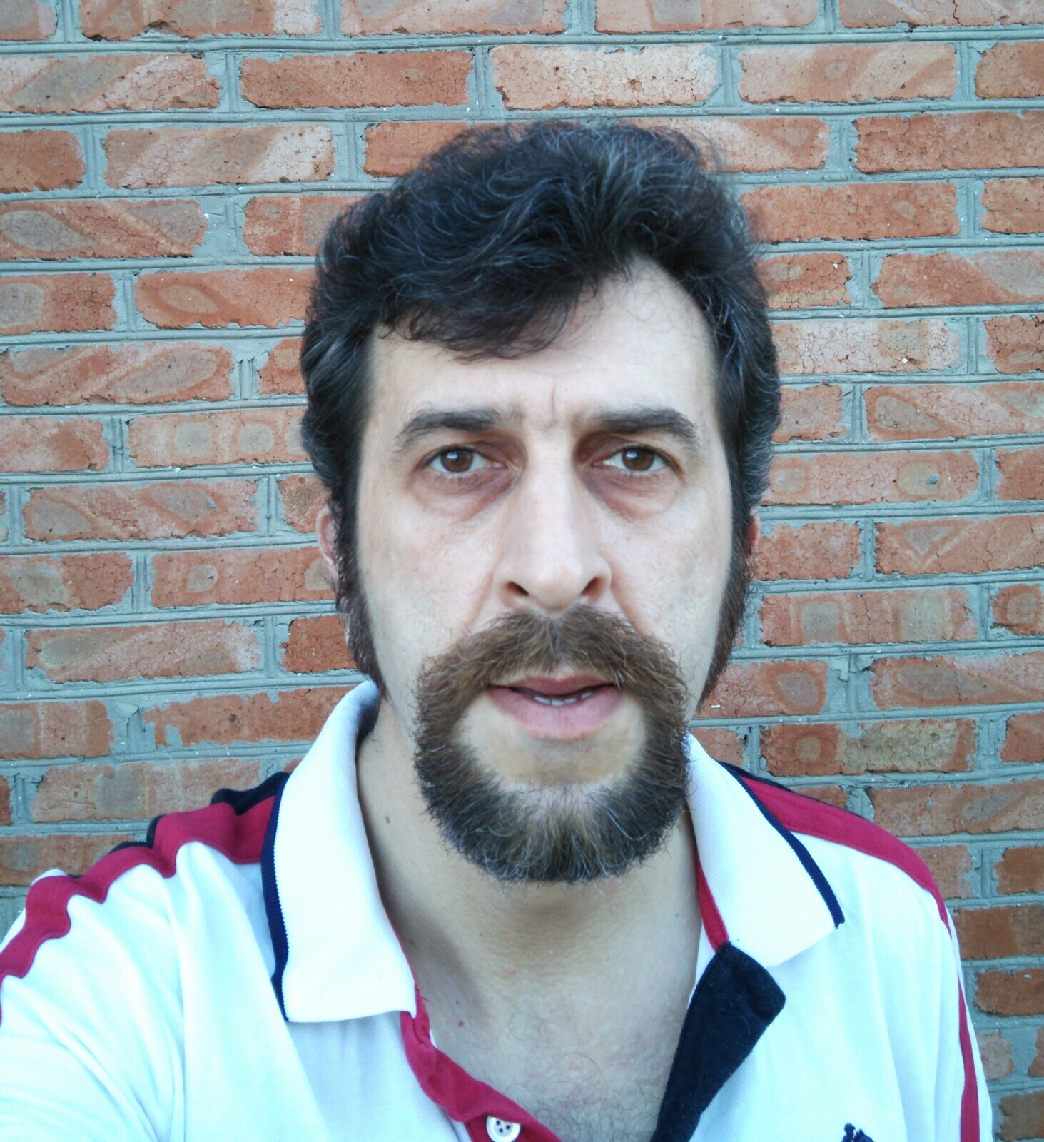 Девушка спросила меня Вы русский или у Вас есть русские в предках? Что я ей ответил?