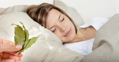 Эффективные способы борьбы с бессонницей: научно обоснованные методы для здорового сна