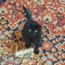 Евгений, г. Южно-Сахалинск