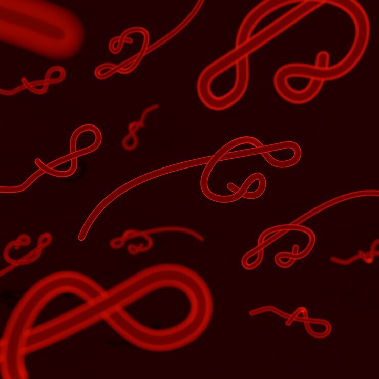 Пятилетний ребёнок привёз с отдыха в Египте редкого смертельно опасного паразита- анкилостому. Что было дальше?