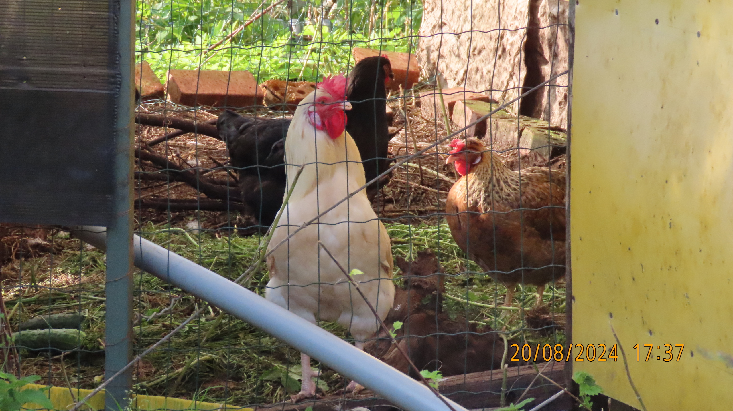 Непреложные законы природы.