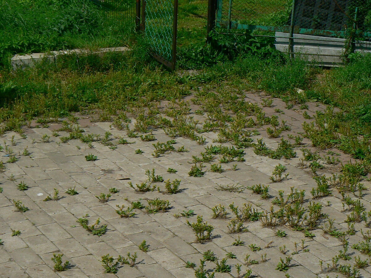 Непреложные законы природы.