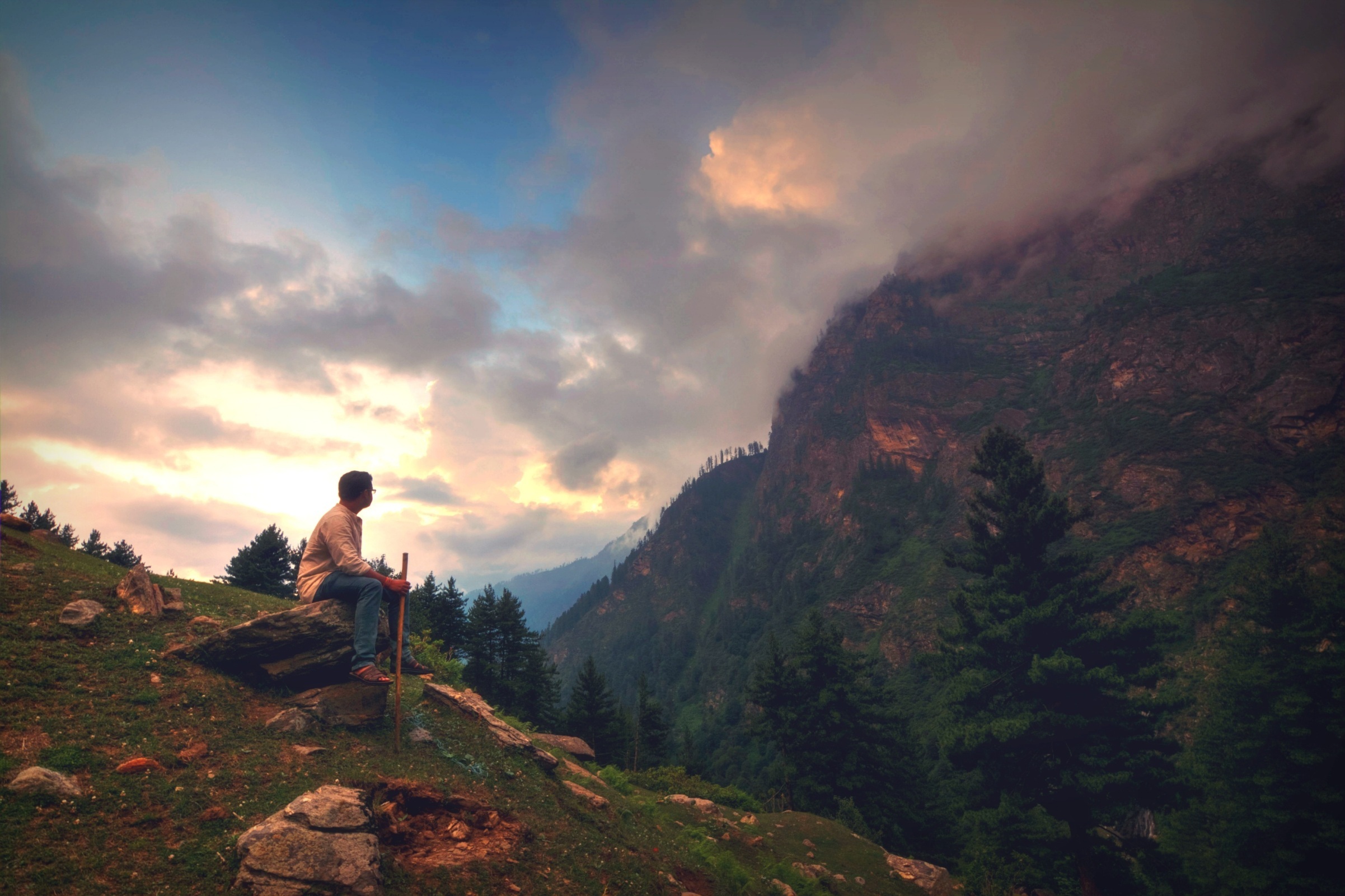 Выбор - есть ли он у человека ?