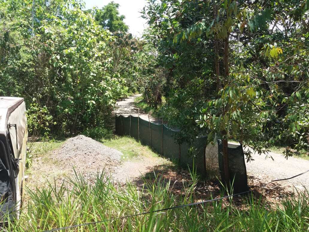 Миссия невыполнима? - Построить экзотический отель в тропической глуши за один месяц