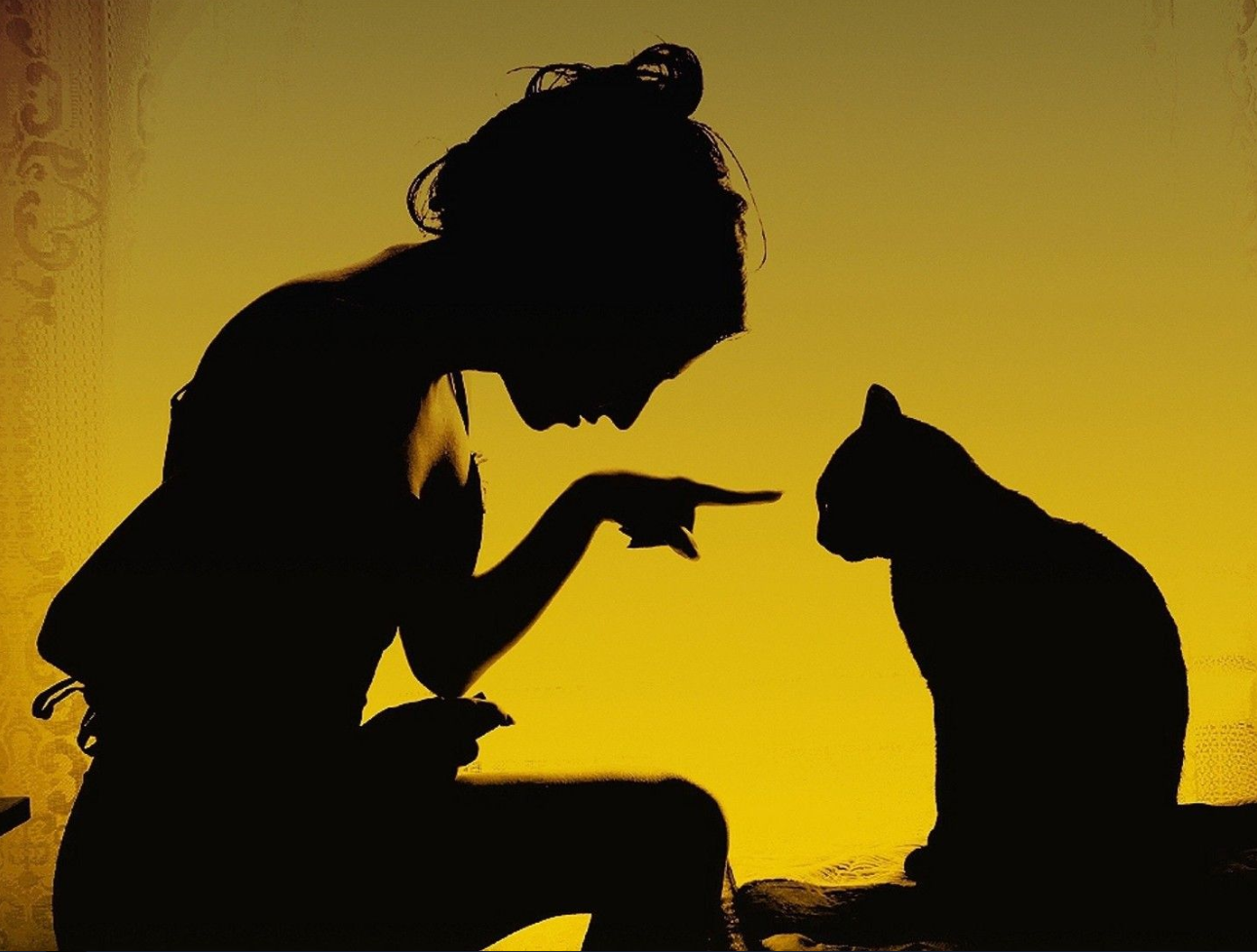 КОРОЛЕВА БЕЗ КОРОЛЕВСТВА: как свобода может обернуться одиночеством. Честный разбор для умниц!