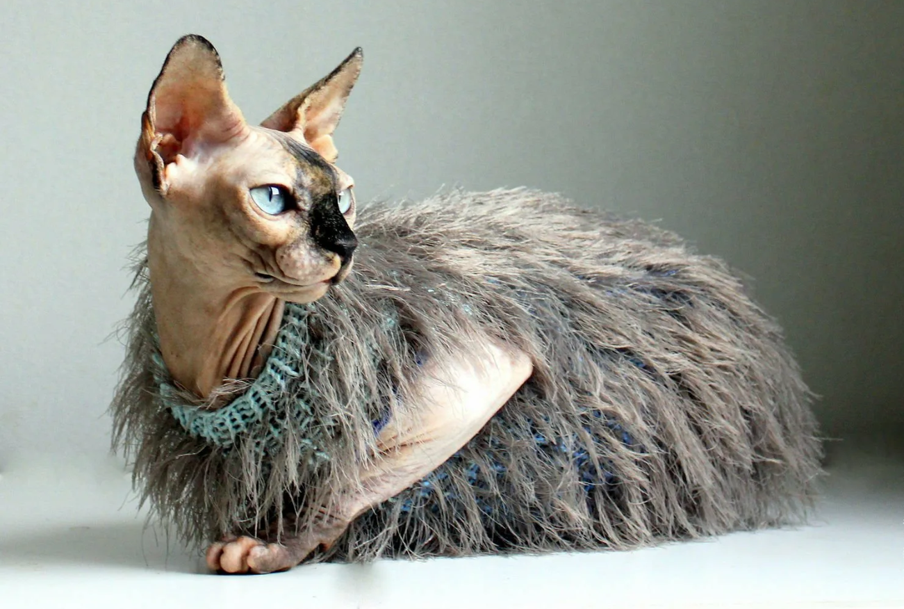 КОШКИ И СОБАКИ. Кто на самом деле правит миром: ваши питомцы - скрытые манипуляторы! Тайное управление вашей жизнью (и кошельком)!