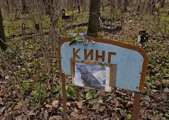 Что делать с телом умершего питомца? Существуют ли кладбища для домашних животных?