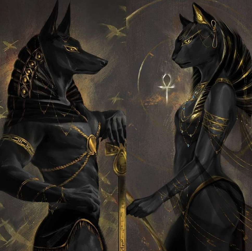 КОШКИ И СОБАКИ. Кто на самом деле правит миром: ваши питомцы - скрытые манипуляторы! Тайное управление вашей жизнью (и кошельком)!