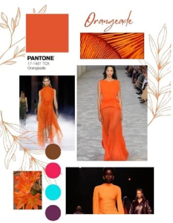 Модная палитра 2025 года