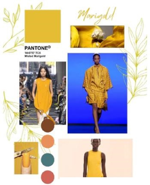 Модная палитра 2025 года