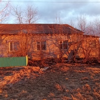 IMG_20250405_192341.jpg