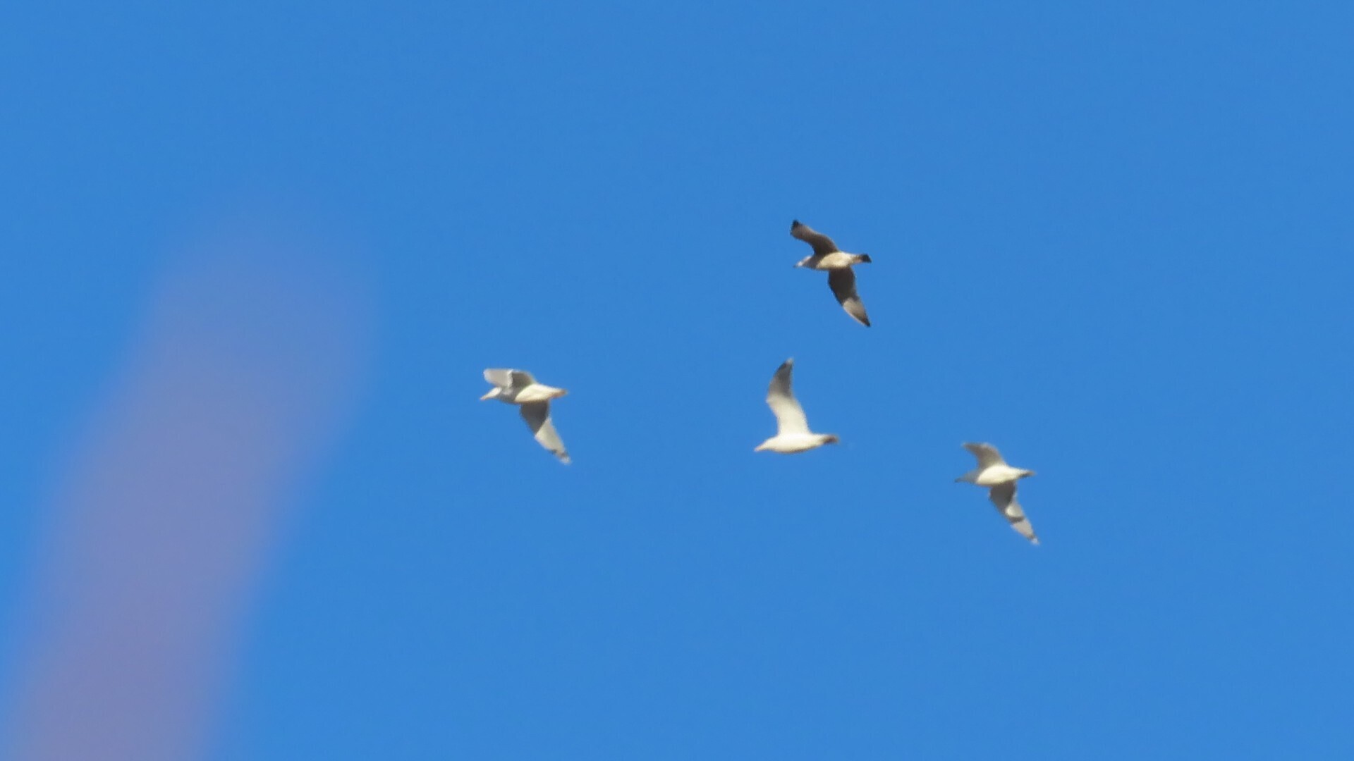 Апрель сломал свою свирель.