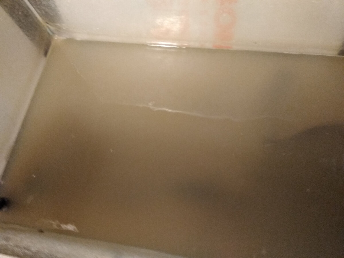 Мой "День Свободный от Забот"