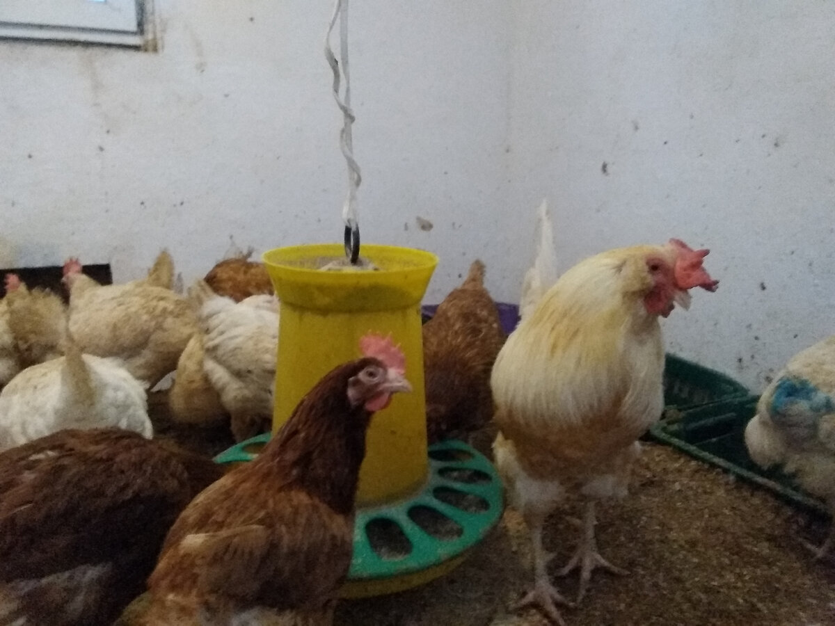 Мой "День Свободный от Забот"