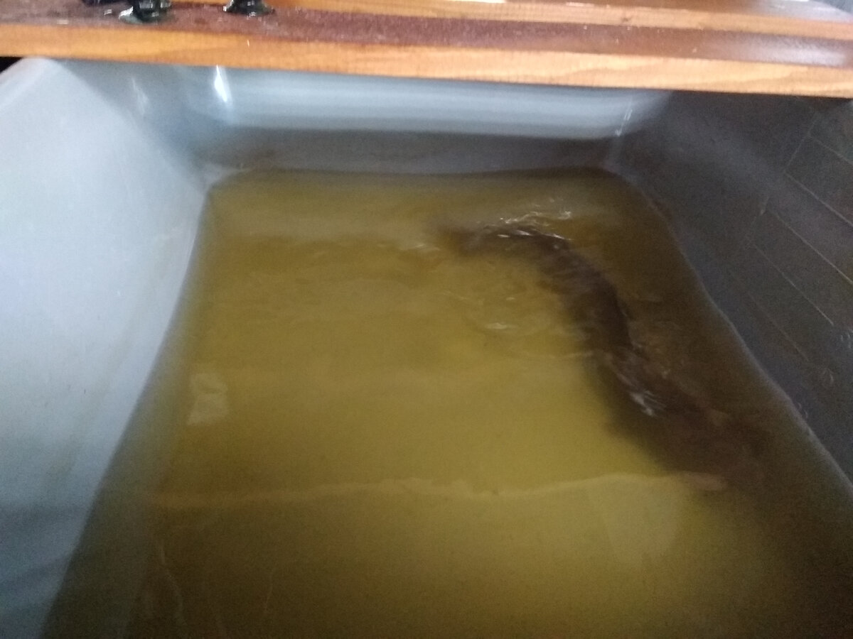 Мой "День Свободный от Забот"