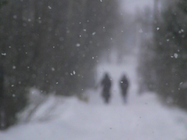 Мой "День Свободный от Забот"