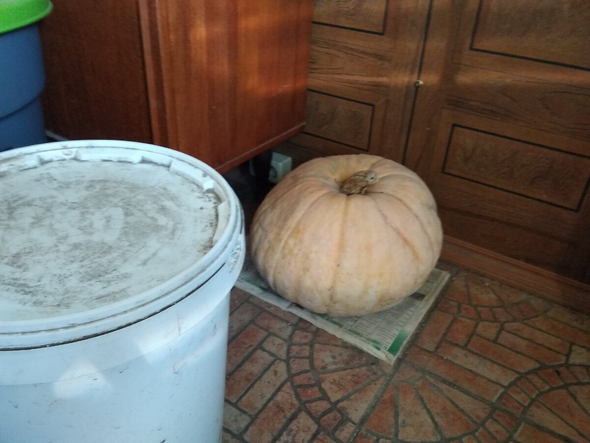 Мой "День Свободный от Забот"