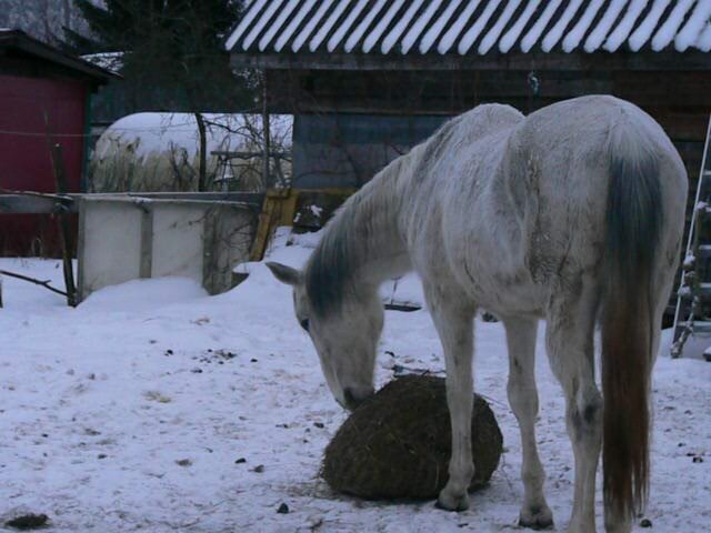 Мой "День Свободный от Забот"